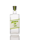 Artanical Gin